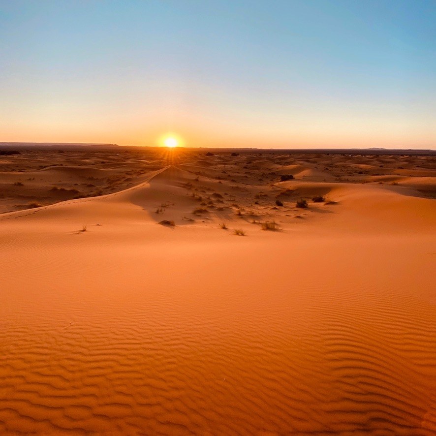 Rippled desert dunes at sunset, the sun low on the horizon